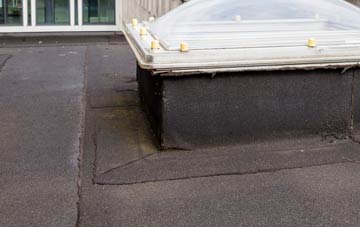 disadvantages of Craiggie Cat flat roofs