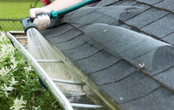 Craiggie Cat gutter cleaning costs