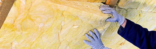 quotes for Craiggie Cat roof insulation