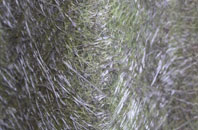 Craiggie Cat fibreglass roof work