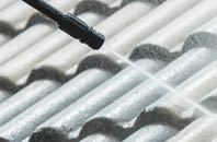 rated Craiggie Cat roof cleaning companies