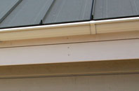 Craiggie Cat soffit repair